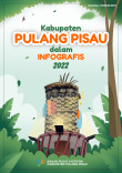 Kabupaten Pulang Pisau Dalam Infografis 2022